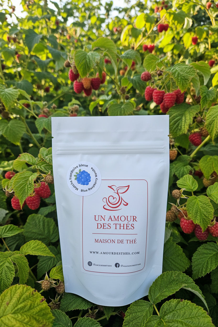 Matcha framboise bleue