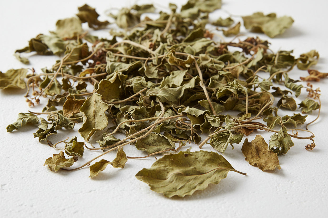 Tulsi (Holy Basil)