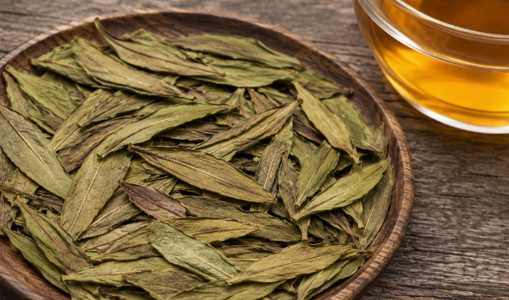 Labrador Tea