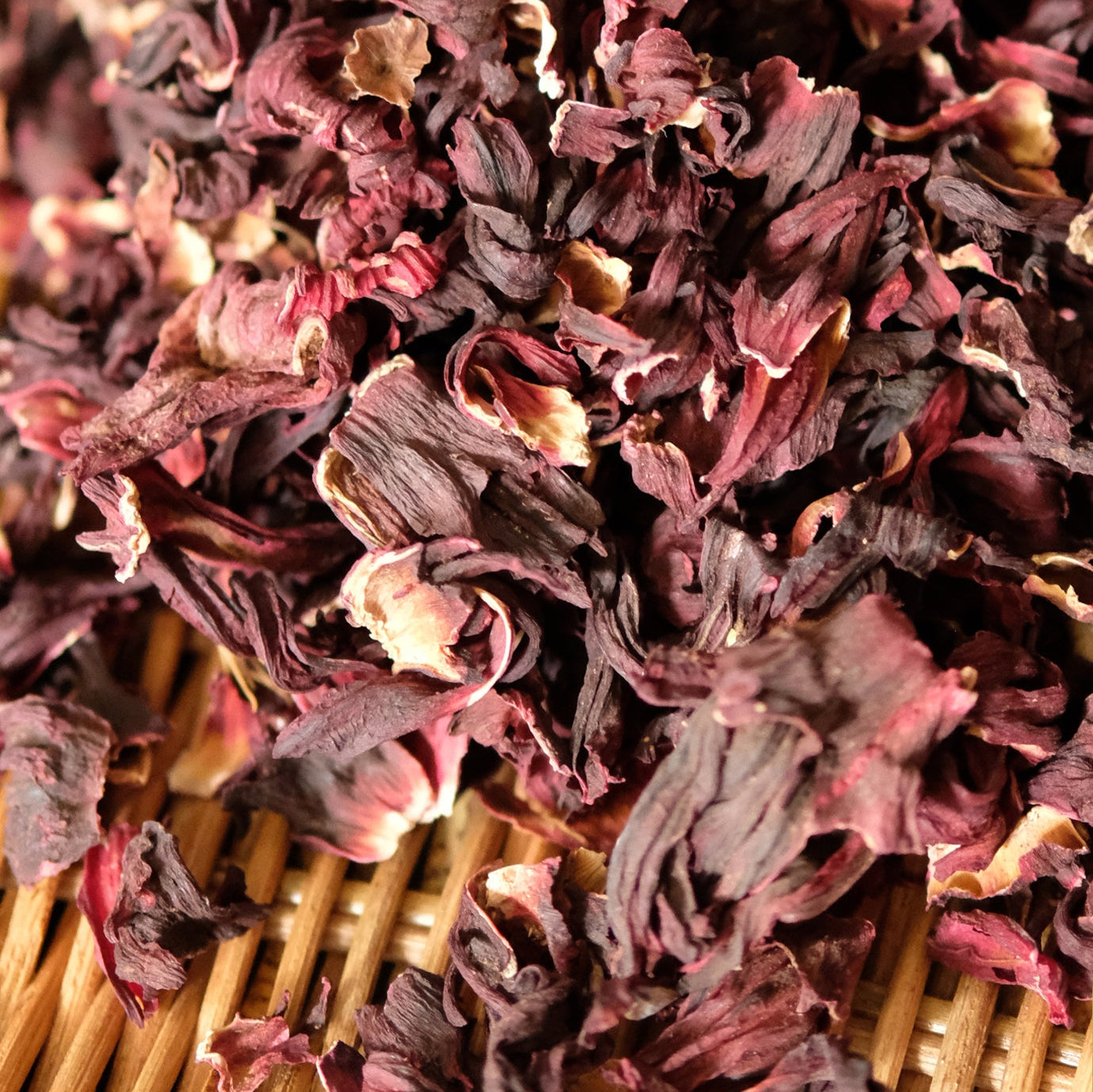 Hibiscus Flowers