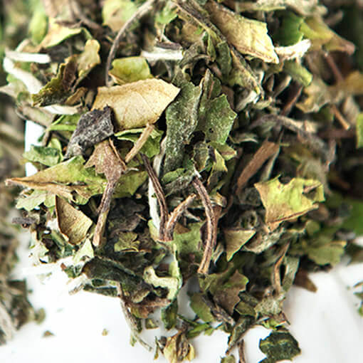 Bai Mu Dan sakura