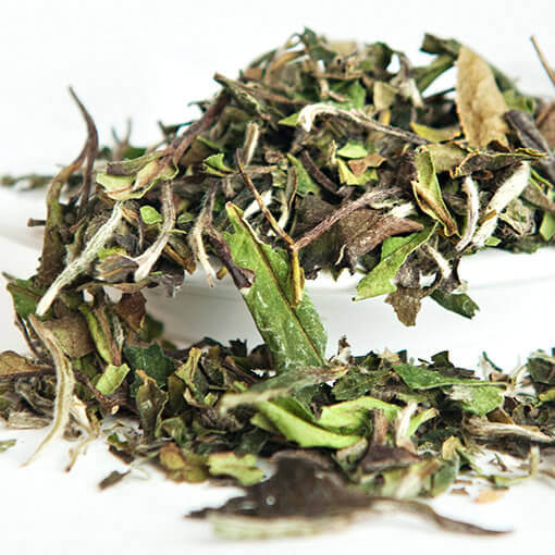 Bai Mu Dan Pomgranate