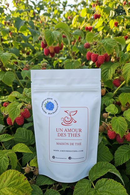 Matcha framboise bleue