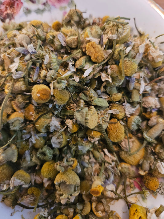 Egyptian Chamomile