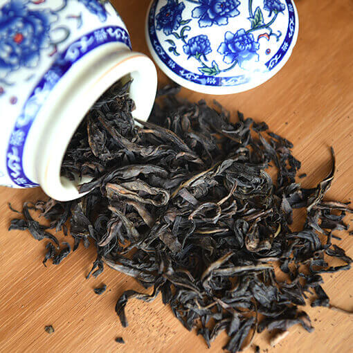 Shui Xian Old Tea Plants